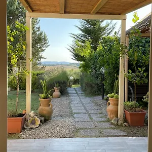  Gospodarstwo agroturystyczne Il Lavandeto - In The